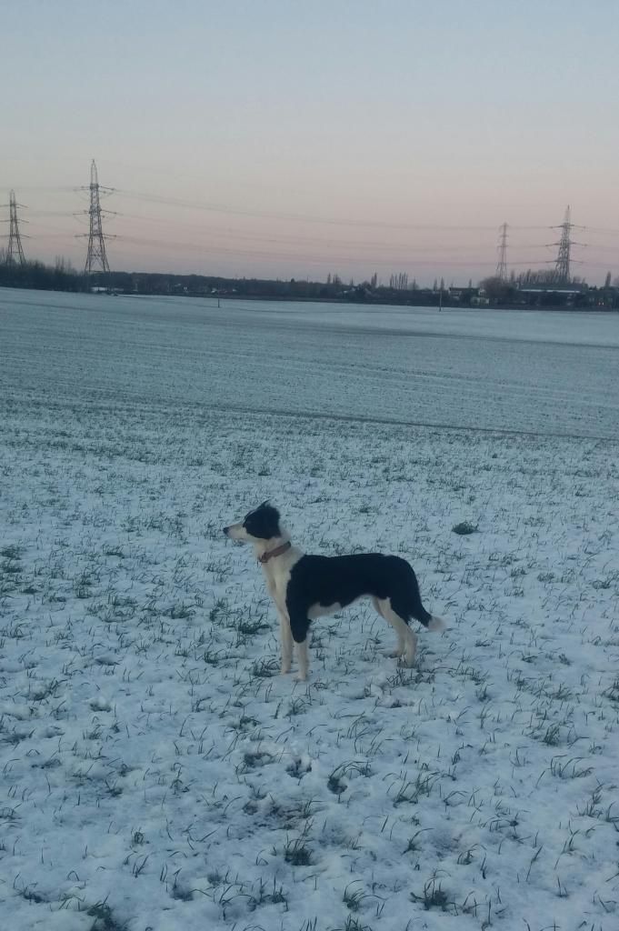 20150130_1642472_zps2yylwbf1.jpg