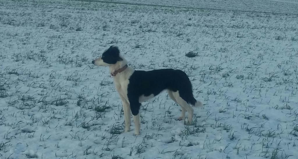 20150130_164301-1-1_zpszihpoyfv.jpg