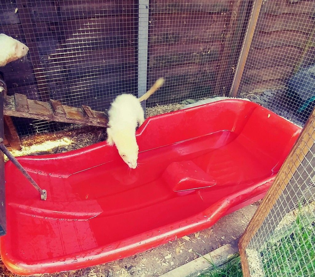 20160719_171820_HDR_Film1-1-1-1_zps06wws