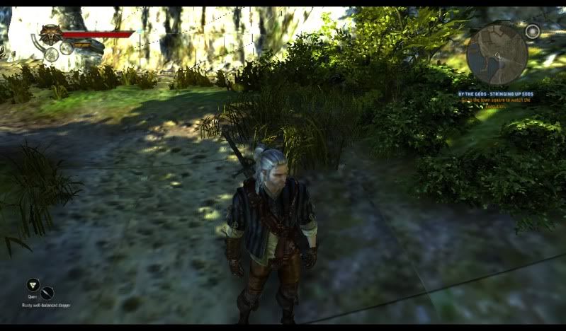 witcher22011-05-2012-51-45-69.jpg