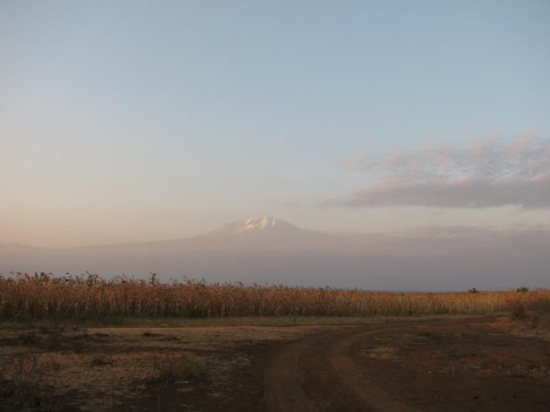 2010Tanzania250.jpg
