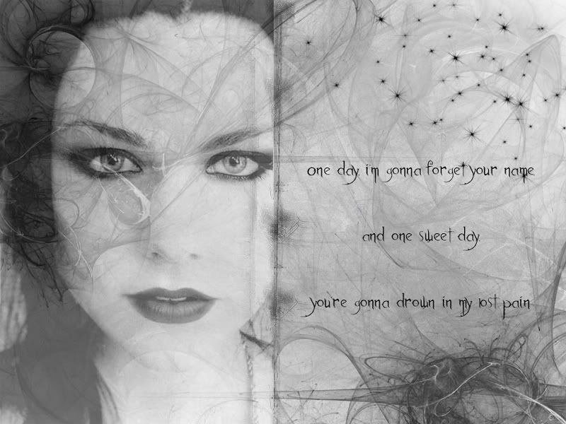 Heart shaped box lyrics evanescence