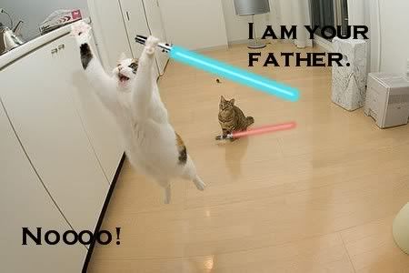 jumping_cats_with_lightsabers.jpg