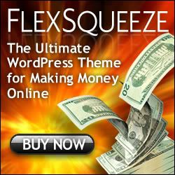 FlexSqueeze - The Ultimate Money Blog Theme for Wordpress!