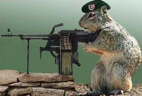 commando_squirrel.jpg
