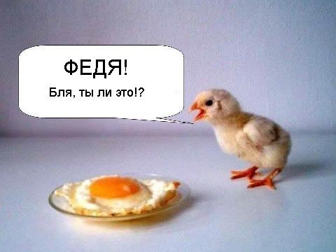 eggchiken.jpg