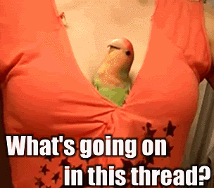 Abandon_2605fc_2546917.gif