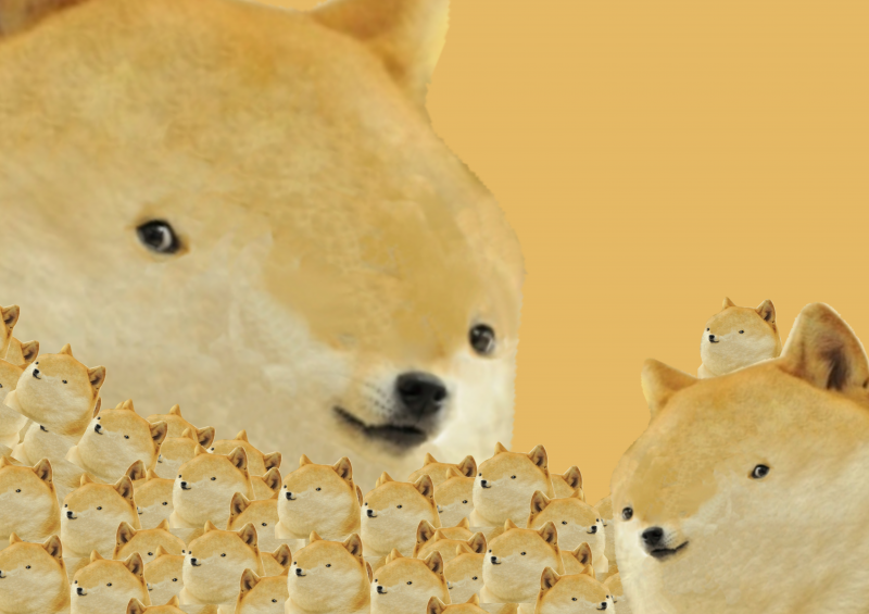 DOGE-1.png