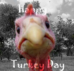 Happy Turkey Day Pictures, Images and Photos