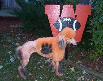 Go Tigers!