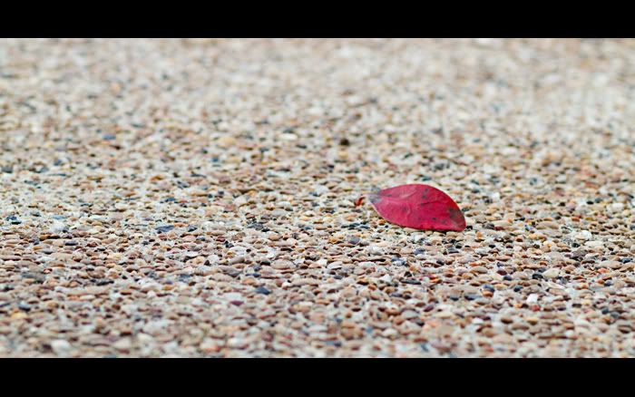 IMAGE: http://i126.photobucket.com/albums/p110/nepsherp/85/Alone-1.jpg