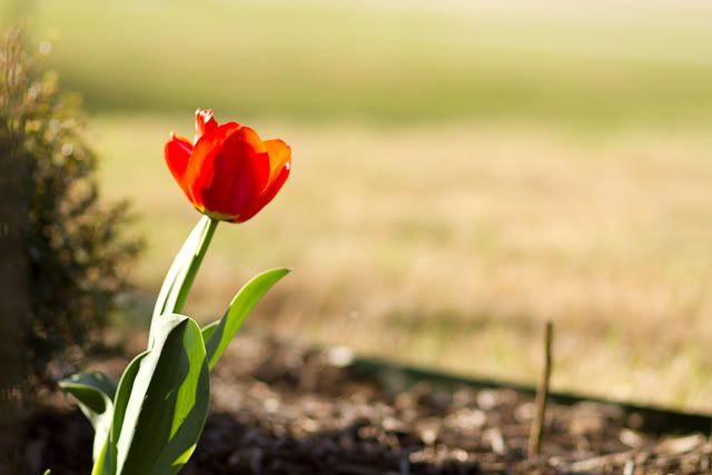 IMAGE: http://i126.photobucket.com/albums/p110/nepsherp/85/image06.jpg