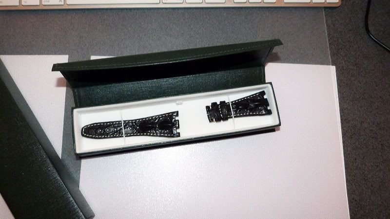 P1000209.jpg