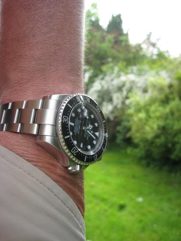 DSSD004.jpg