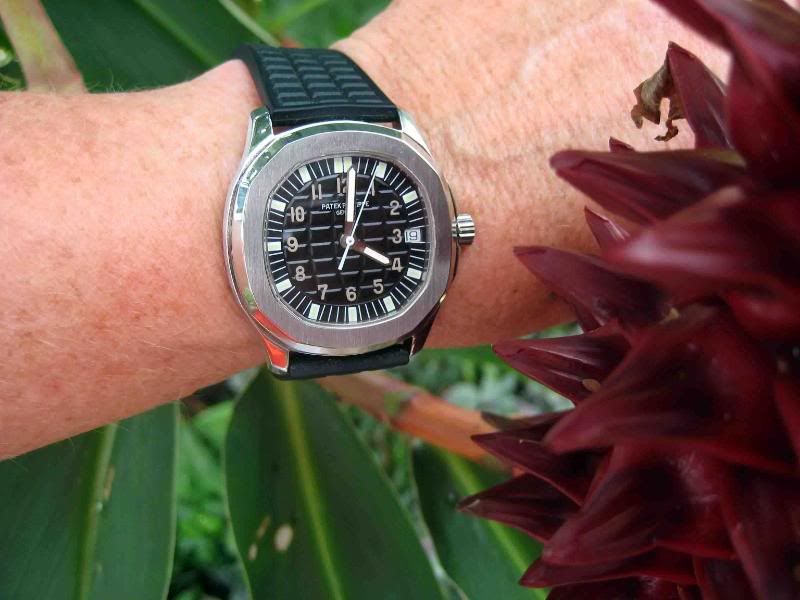 Patek.jpg