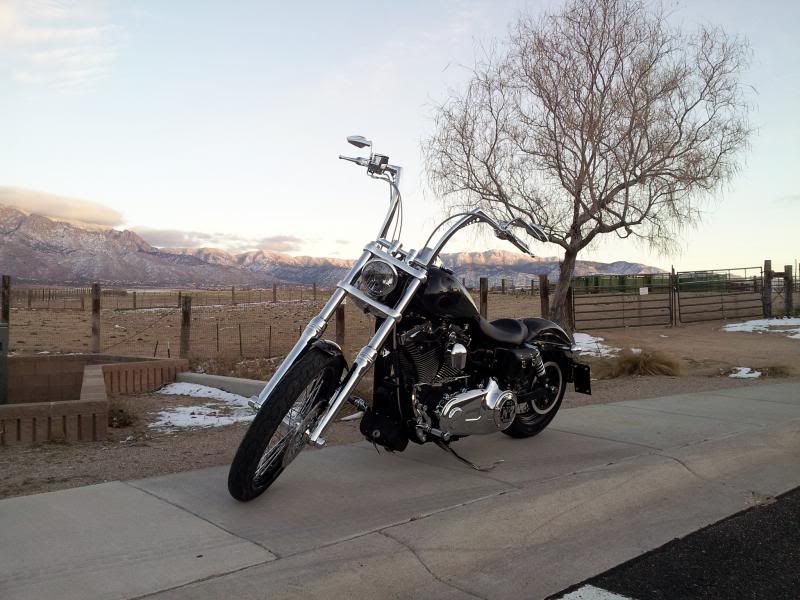 16 apes on street glide
