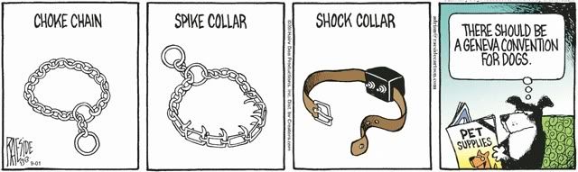 collars.jpg