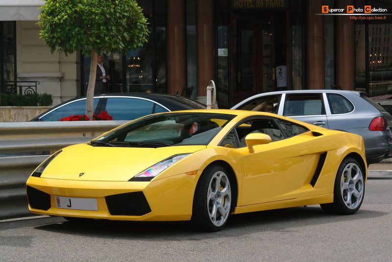 15_Gallardo.jpg