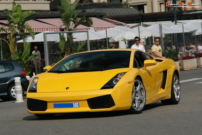 29_Gallardo.jpg