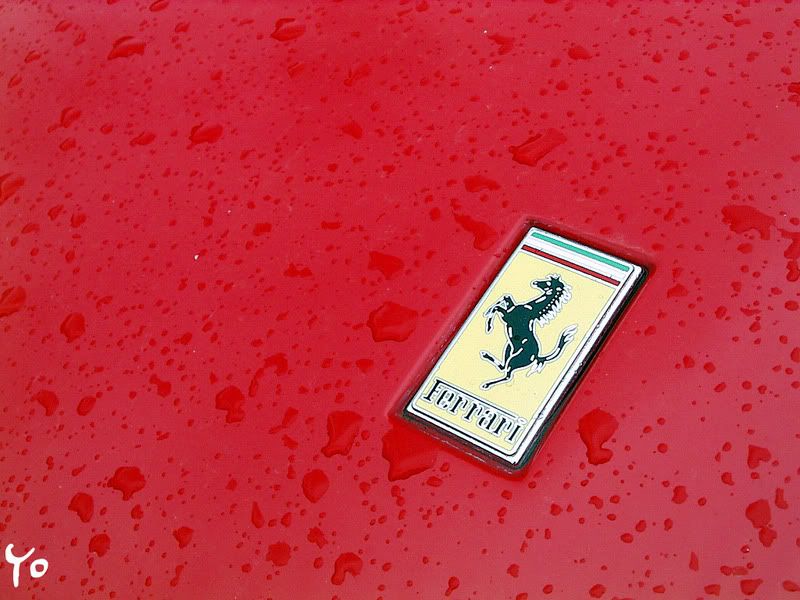 Ferrari_logo.jpg