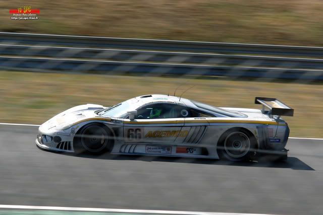 saleen0dp-1.jpg