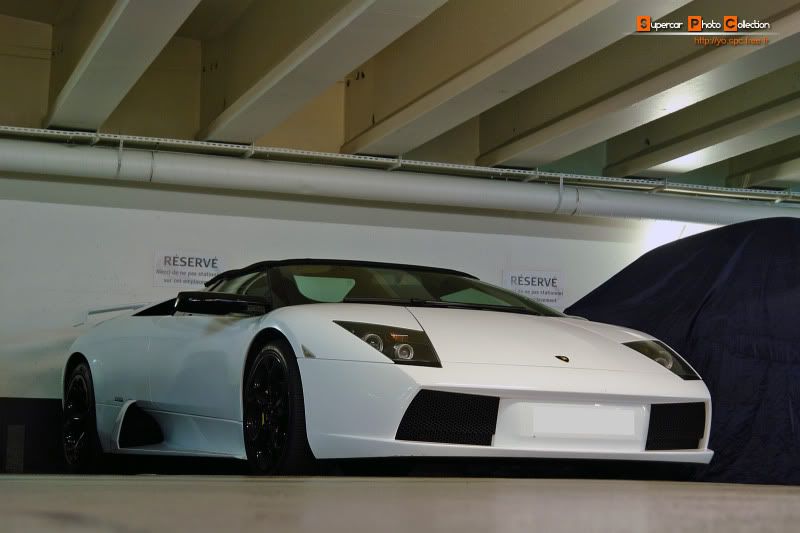 01_Murcielago.jpg