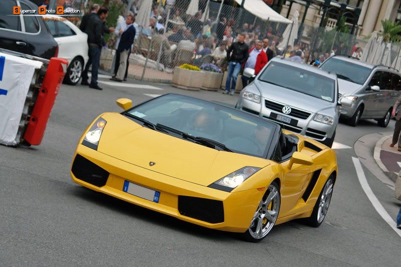 04_Gallardo.jpg