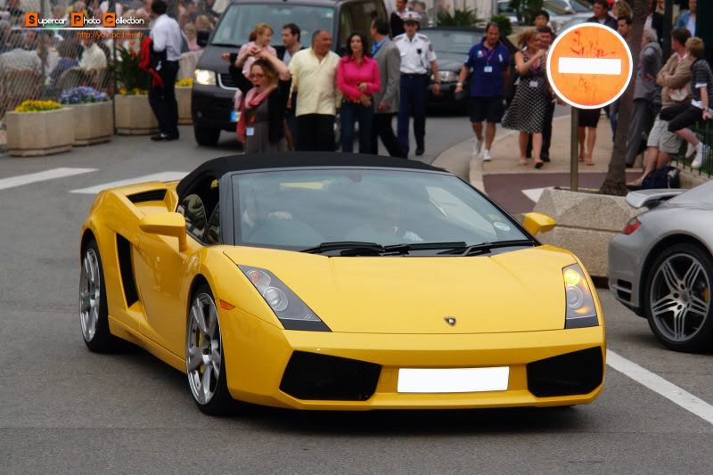 06_Gallardo.jpg