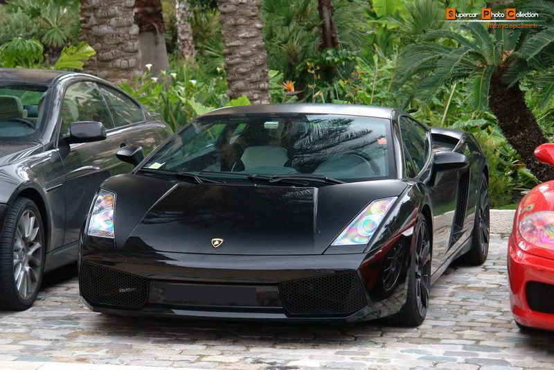 06_Gallardo_Nera.jpg