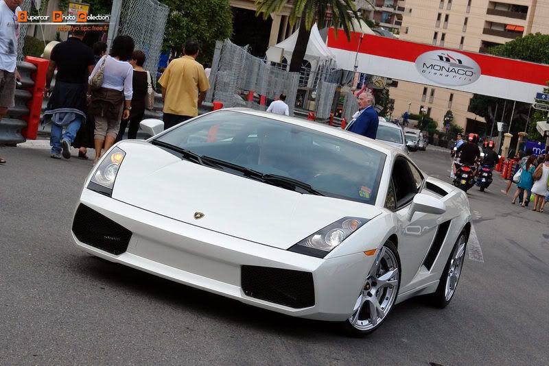 11_Gallardo.jpg