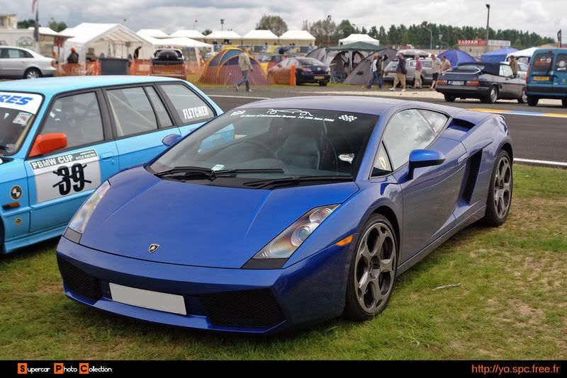 14_Gallardo-1.jpg