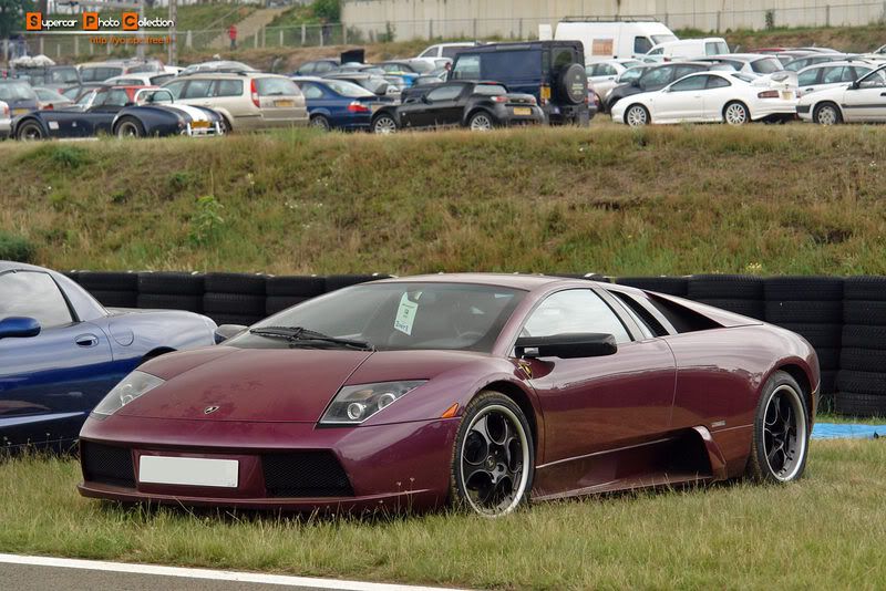 17_Murcielago.jpg