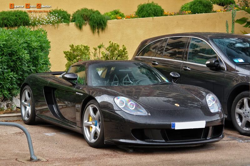 25_CGT-1.jpg