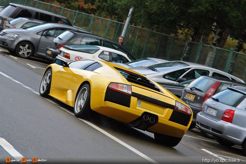 27_Murcielago-1.jpg