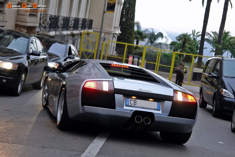 29_Murcielago.jpg