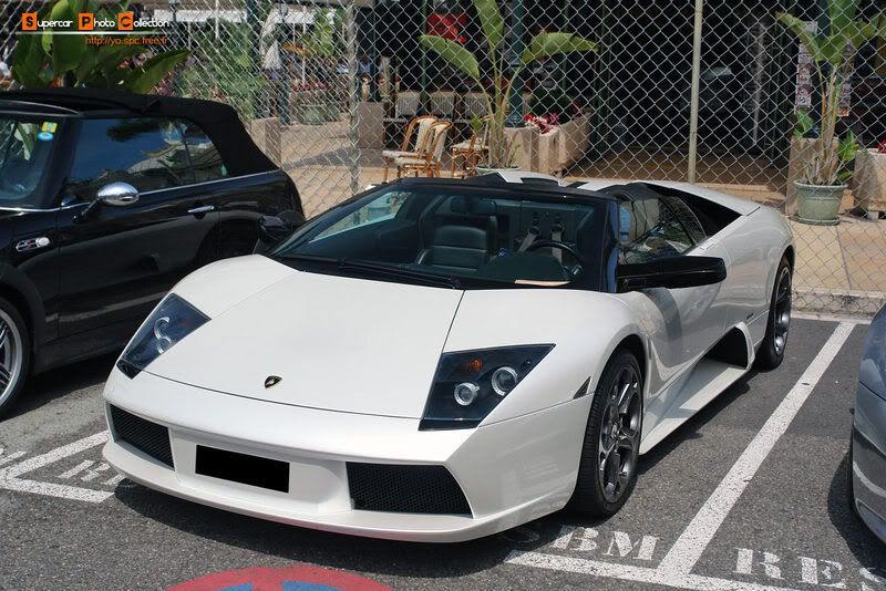 30_Murcielago.jpg