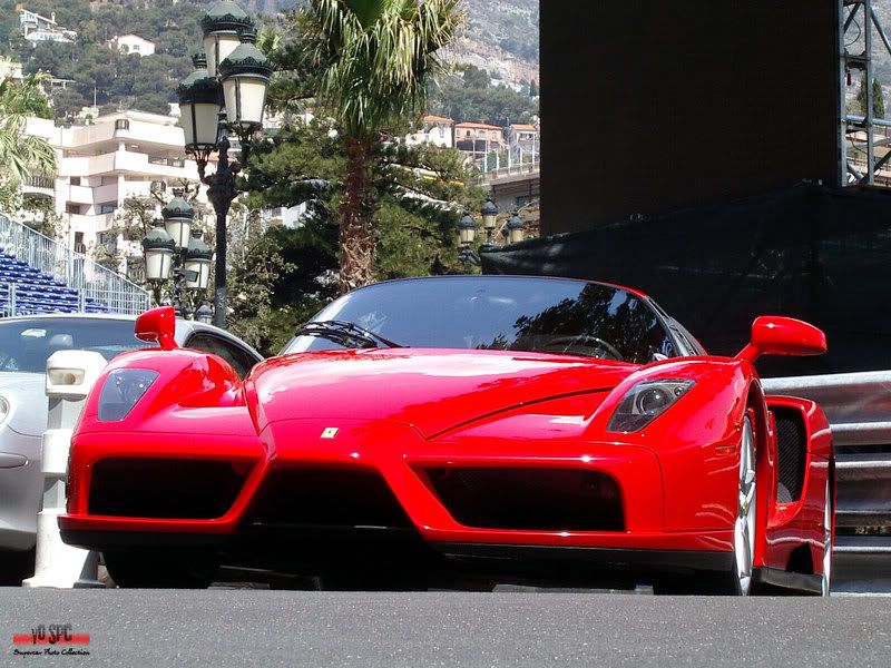 Ferrari-Enzo_2.jpg