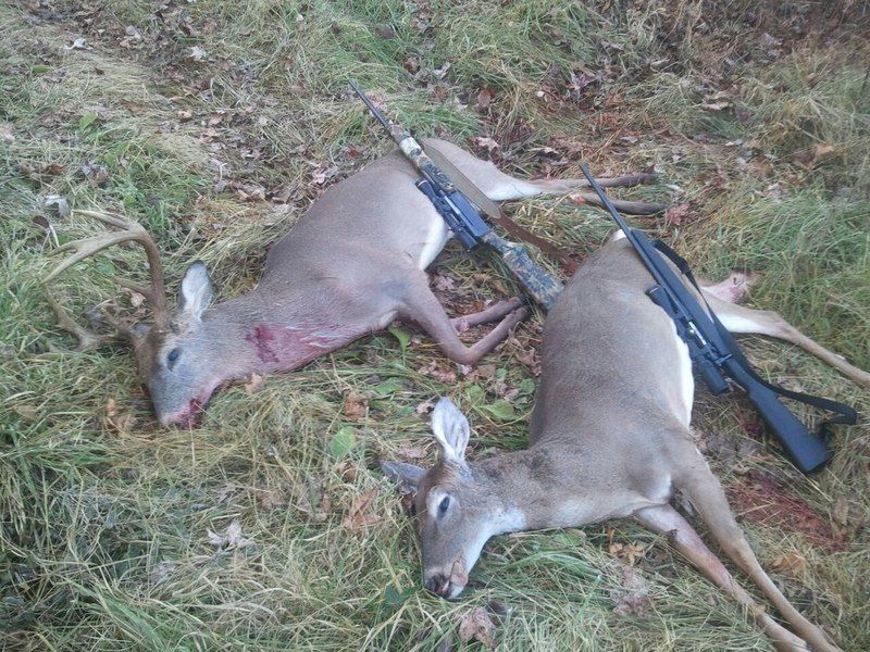 Whats your favorite rifle?(pics plz) North Carolina Hunting and Fishing Forums