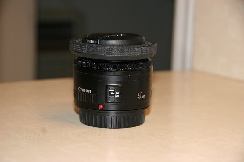 IMAGE: http://i126.photobucket.com/albums/p118/Photogear_2007/Photo%20URLs%202%20Share/50mmW17-85IS.jpg