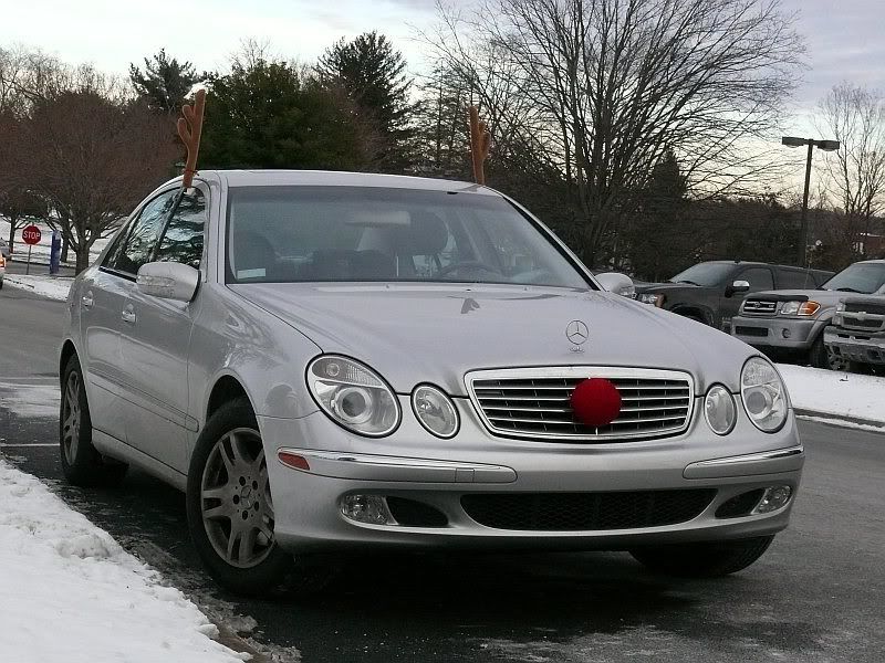 ReindeerCar1.jpg