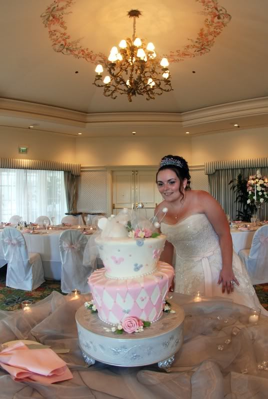 Decorating Cake table??? The DIS Disney Discussion Forums