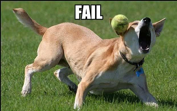 http://i126.photobucket.com/albums/p118/yo619/funny.jpg