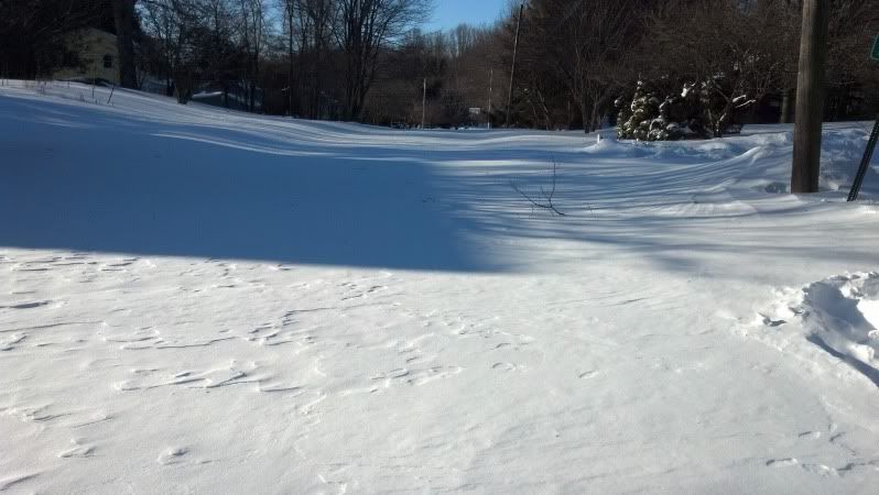 2013-02-10_08-34-00_271_zps031ca8ac.jpg