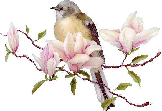 BIRD WITH PINK FLOWER DIVIDER