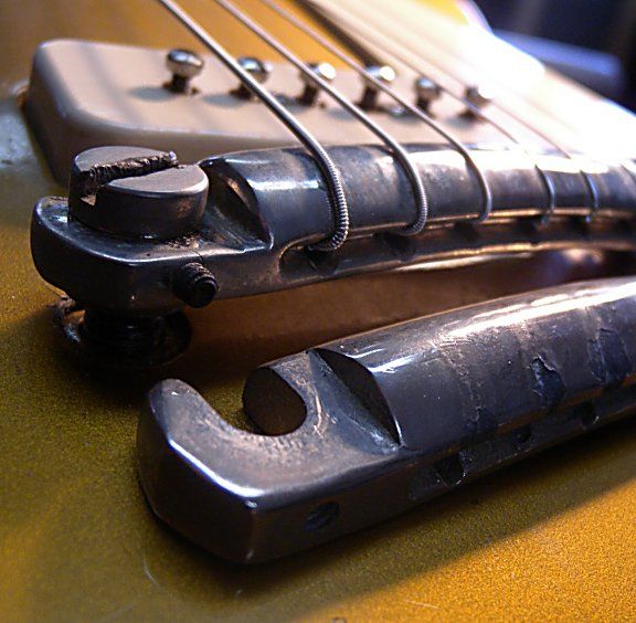 Thin-eared%20wraparound%20bridge%20crop_