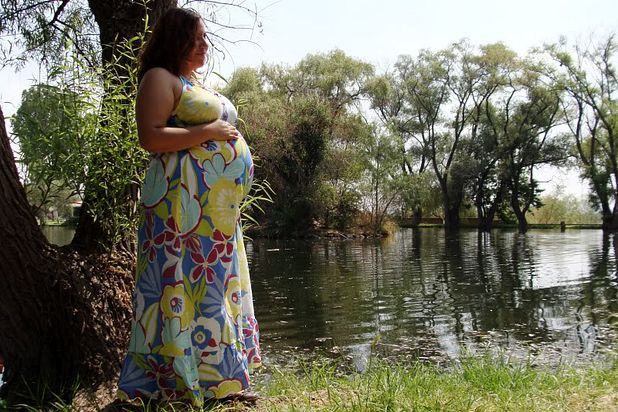 DSC05927.jpg?width=618