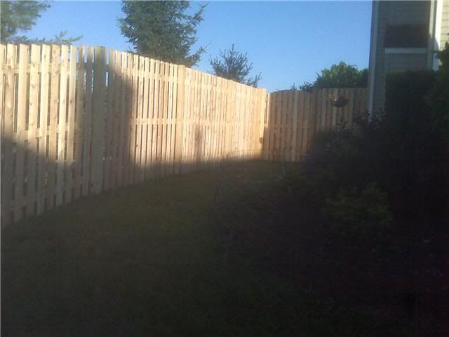 fence1.jpg