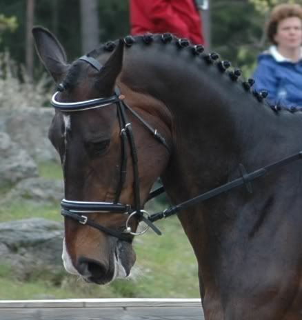 KopiaavLektionsmsterskapet05007.jpg