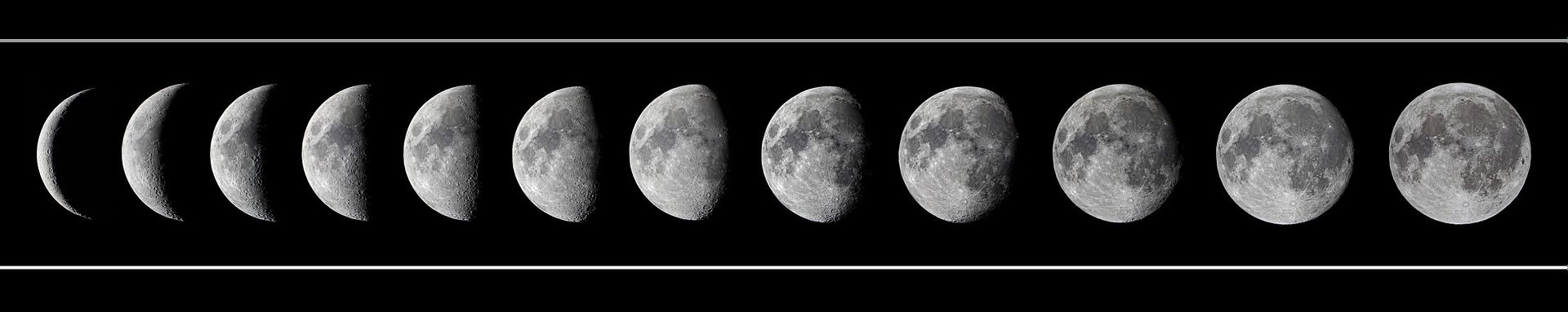 moon-phases-january-2012_flat_small.jpg