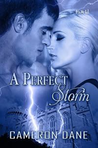 A Perfect Storm Cover